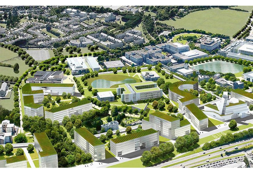 アイルランド名門「ユニバーシティ・カレッジ・ダブリン（UCD）」徹底ガイド：世界的評価、プログラム、入学条件、学費、奨学金まで
